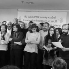Academics' call for peace in Turkey: from "going public" to "getting persecuted"